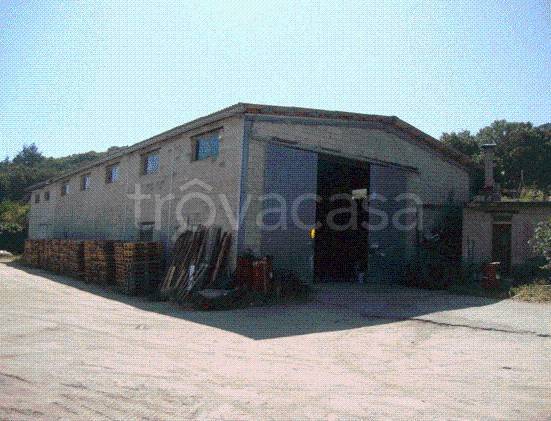 locale commerciale in vendita a Buddusò