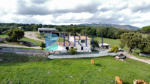 azienda agricola in vendita a Calangianus