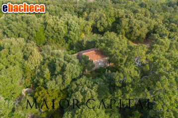 terreno agricolo in vendita a Calangianus