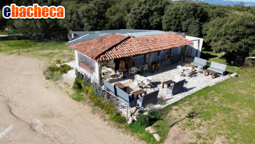 negozio in vendita a Calangianus