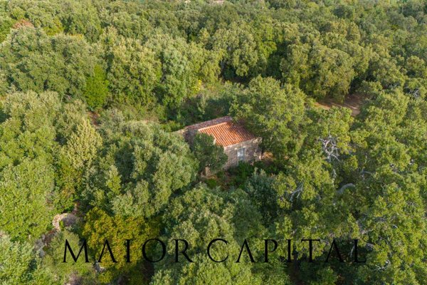 terreno agricolo in vendita a Calangianus