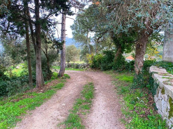 casa indipendente in vendita a Calangianus