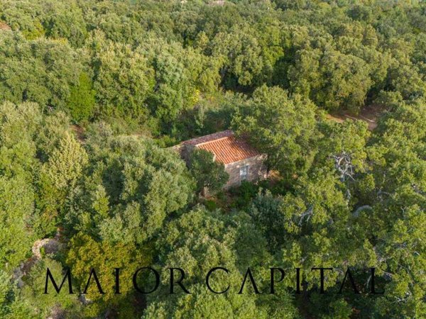 terreno agricolo in vendita a Calangianus