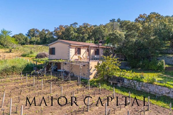 casa indipendente in vendita a Calangianus