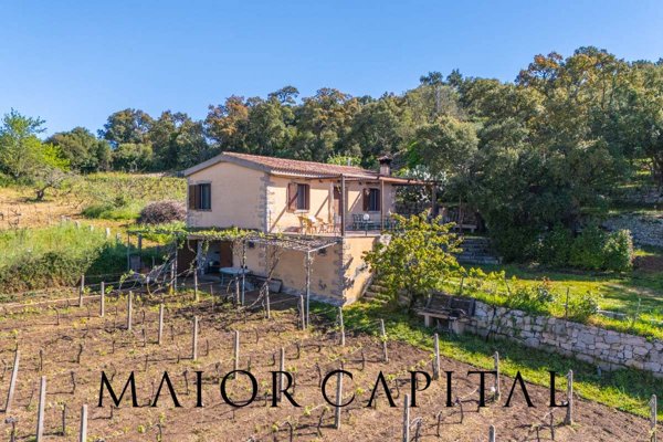 casa indipendente in vendita a Calangianus