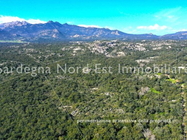 terreno agricolo in vendita a Calangianus