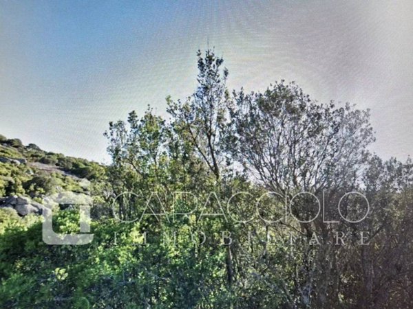 terreno agricolo in vendita a Calangianus