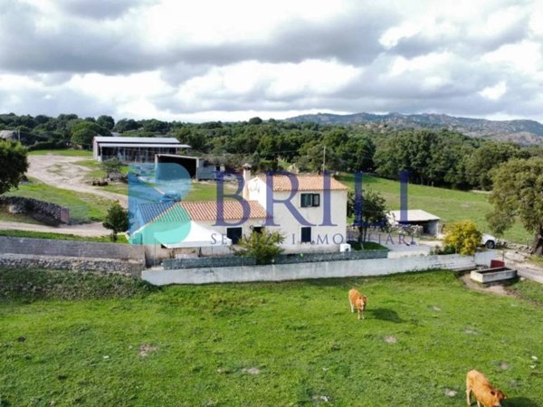 casa indipendente in vendita a Calangianus