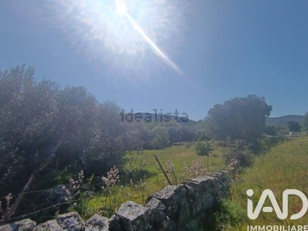 terreno agricolo in vendita a Calangianus