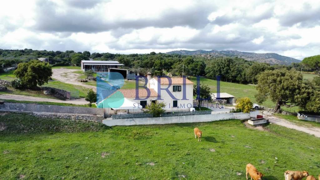 ufficio in vendita a Calangianus