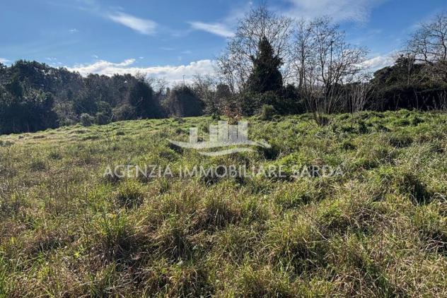 terreno agricolo in vendita a Calangianus