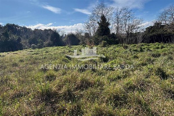 terreno agricolo in vendita a Calangianus