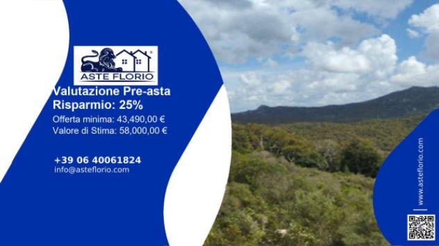 terreno agricolo in vendita a Calangianus