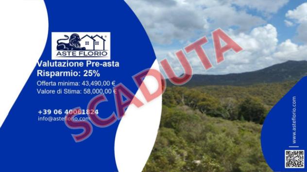 terreno agricolo in vendita a Calangianus