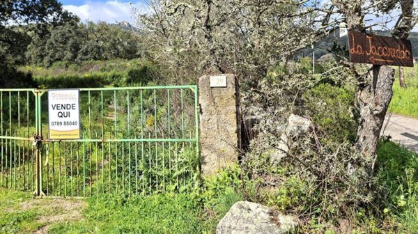 casa indipendente in vendita a Calangianus