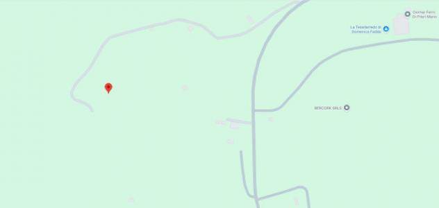 terreno agricolo in vendita a Calangianus