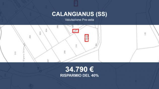 terreno agricolo in vendita a Calangianus