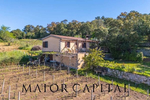 appartamento in vendita a Calangianus