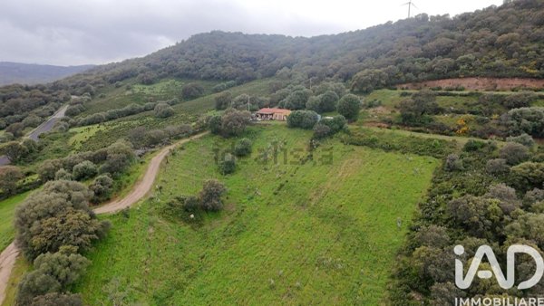 casa indipendente in vendita a Calangianus
