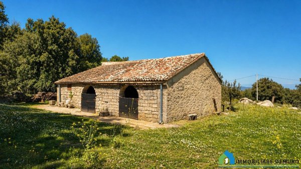 pentavano in vendita a Calangianus
