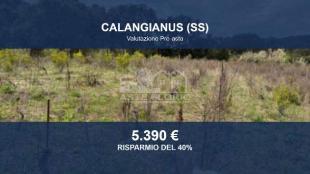 terreno agricolo in vendita a Calangianus