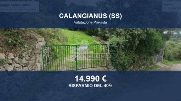 terreno agricolo in vendita a Calangianus