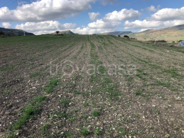 terreno agricolo in vendita a Cargeghe