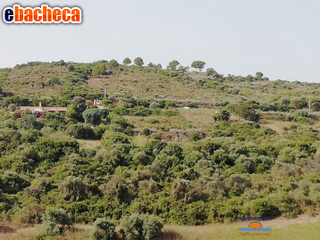 terreno agricolo in vendita a Castelsardo