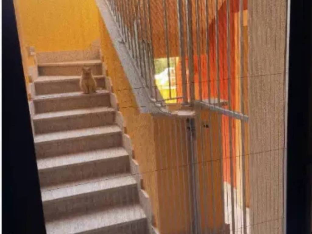 appartamento in vendita a Castelsardo