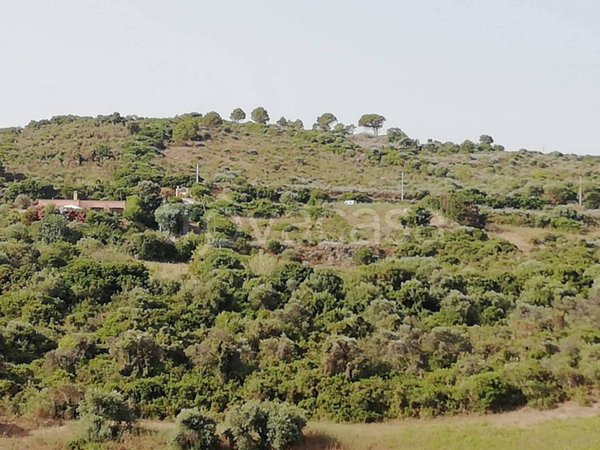 terreno agricolo in vendita a Castelsardo