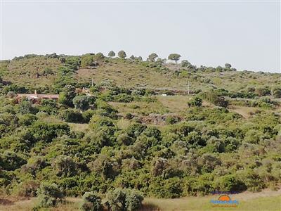 terreno agricolo in vendita a Castelsardo