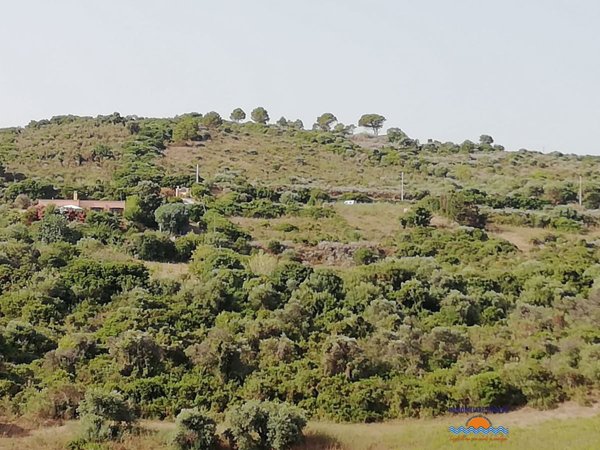 terreno agricolo in vendita a Castelsardo