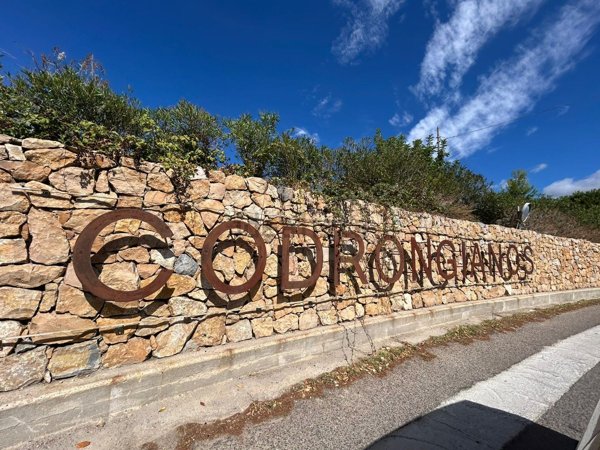 casa indipendente in vendita a Codrongianos