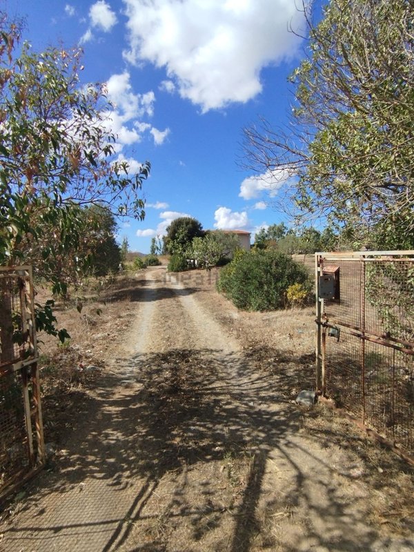 appartamento in vendita a Codrongianos