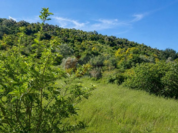terreno agricolo in vendita a Codrongianos