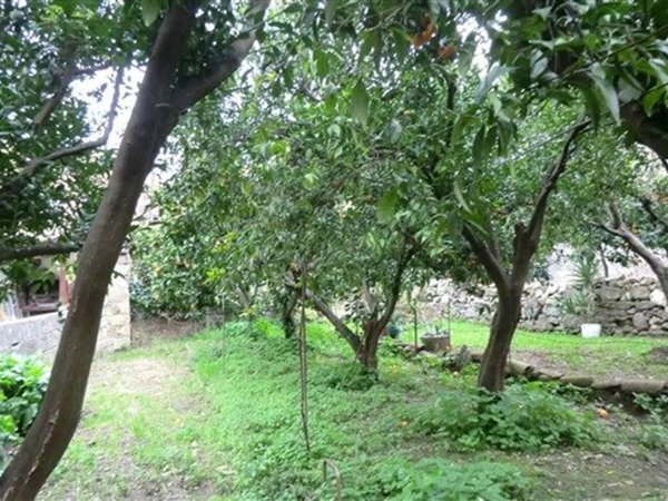 casa indipendente in vendita ad Ittiri