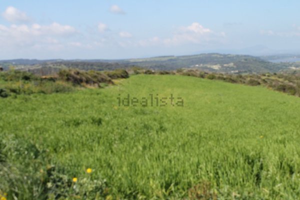 terreno agricolo in vendita ad Ittiri