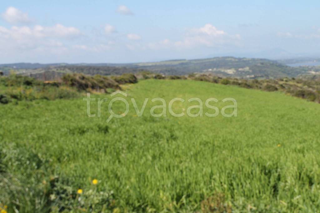 terreno agricolo in vendita ad Ittiri