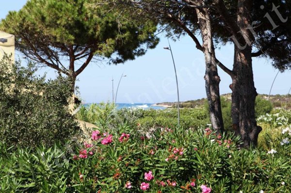 casa indipendente in vendita a La Maddalena