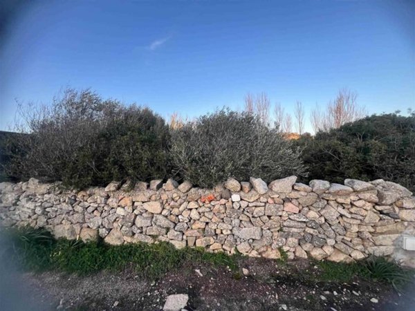 terreno agricolo in vendita a La Maddalena