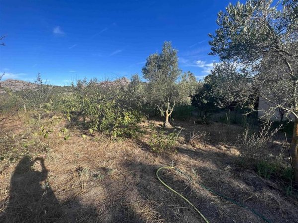 terreno agricolo in vendita a La Maddalena in zona Moneta