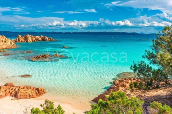 appartamento in vendita a La Maddalena