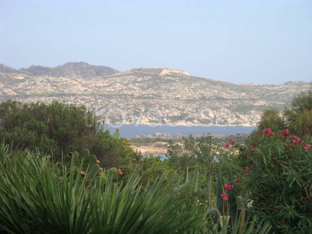 casa indipendente in vendita a La Maddalena