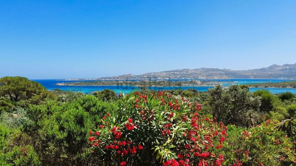 casa indipendente in vendita a La Maddalena
