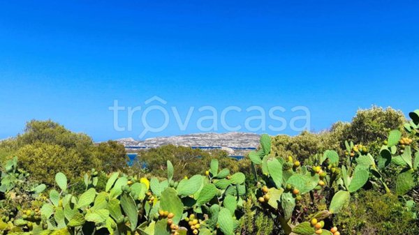 casa indipendente in vendita a La Maddalena