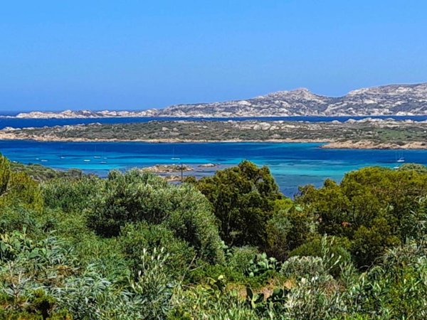 casa indipendente in vendita a La Maddalena in zona Moneta