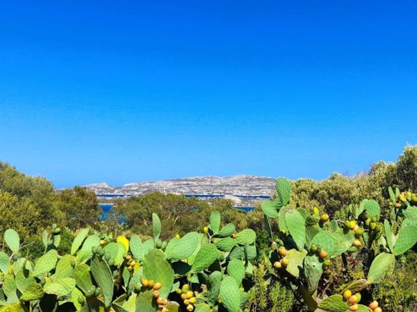 casa indipendente in vendita a La Maddalena in zona Moneta