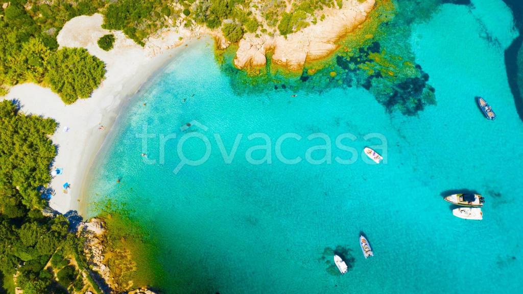 appartamento in vendita a La Maddalena