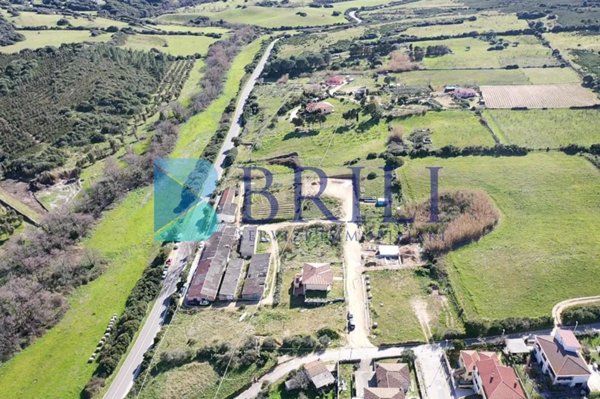 casa indipendente in vendita a Luogosanto