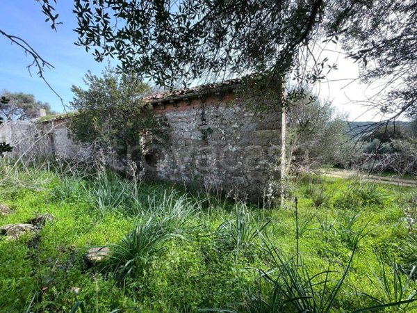 terreno agricolo in vendita a Luogosanto
